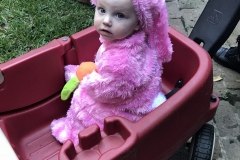 IMG_4967-e1509381645417